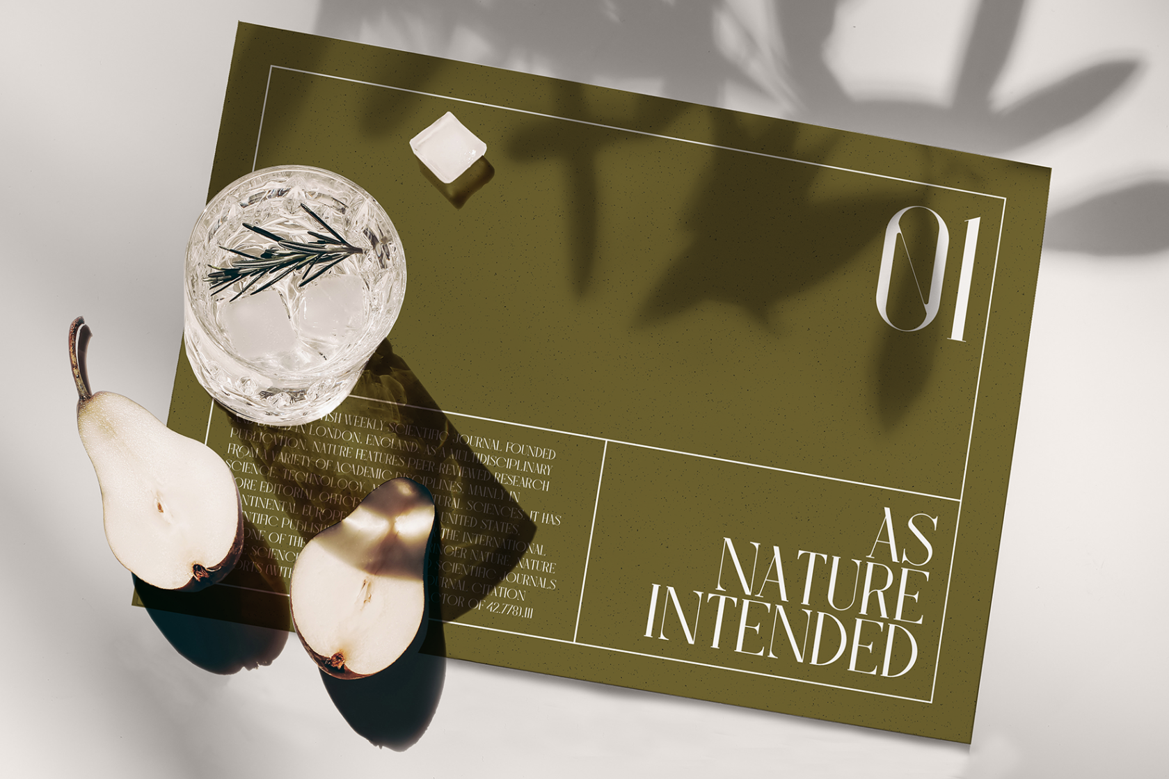 Placemat_Sunlights_mockup2 10.10.17