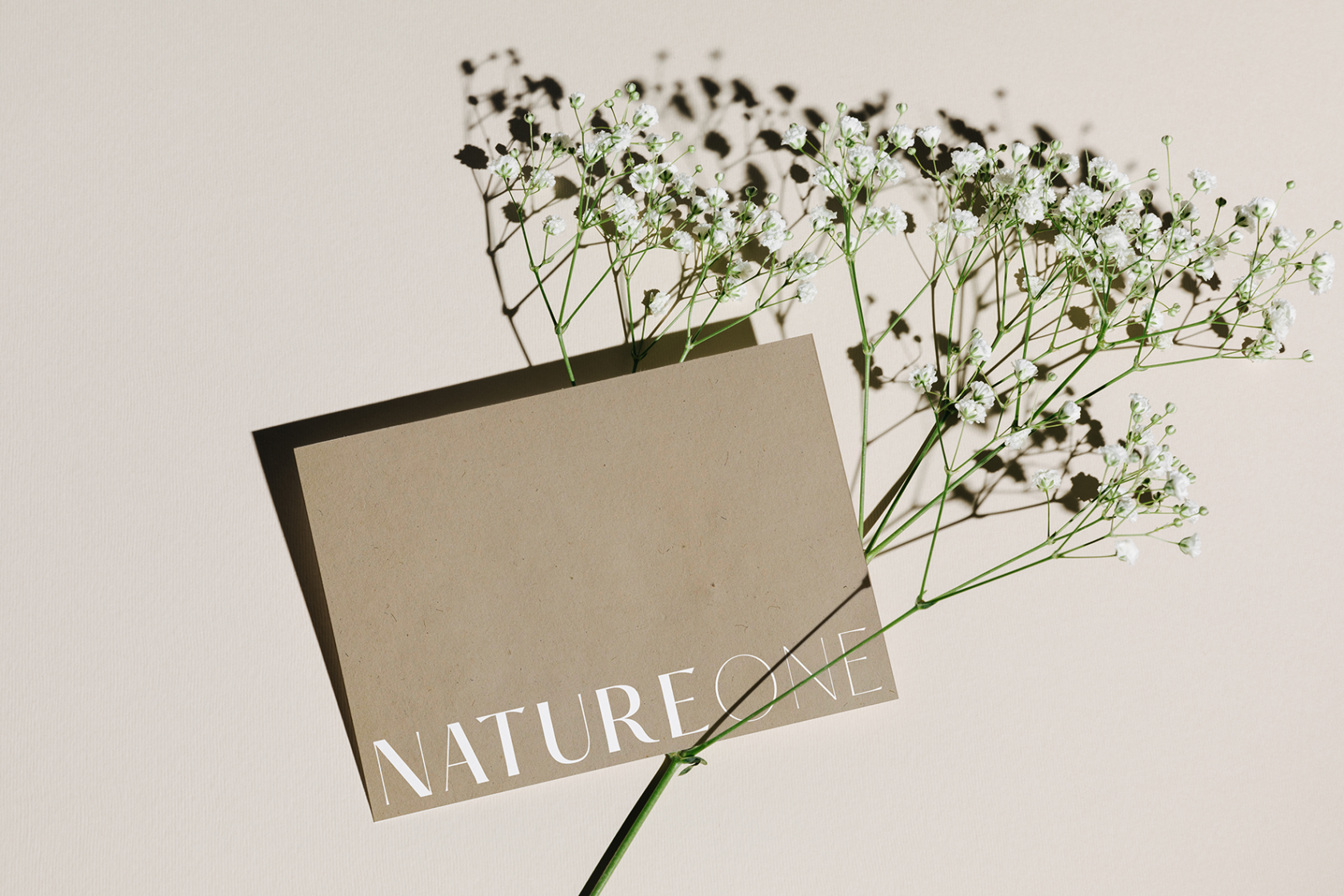 shutterstock_1907502943